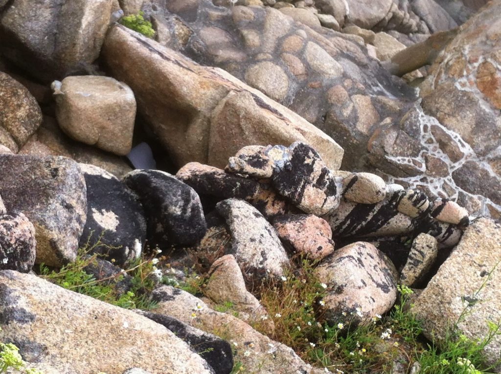 Artículo: el alemán de Camelle